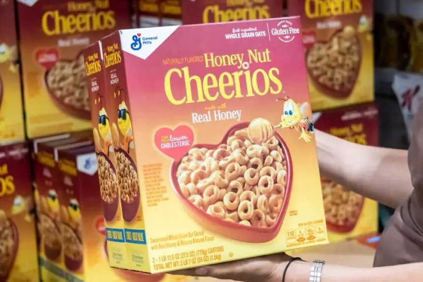 Can Cats Eat Honey Nut Cheerios