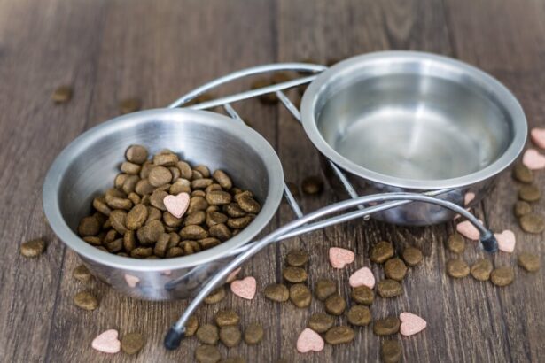 Benefits Of Adding Water To Dry Cat Food