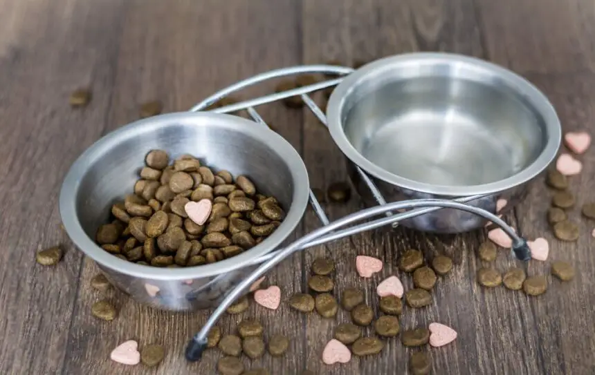 Benefits Of Adding Water To Dry Cat Food