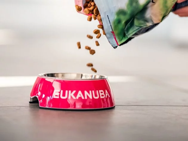 Does Eukanuba Make Cat Food