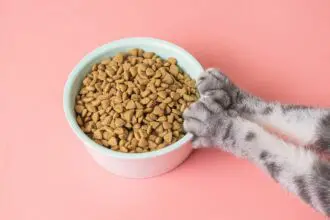 Is Paws Cat Food Good For Cats
