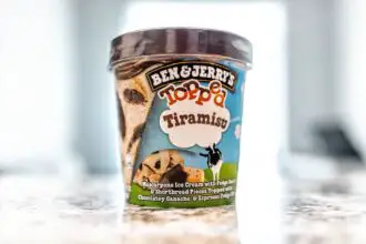 Can Cats Eat Ben and Jerry's Dog Ice Cream